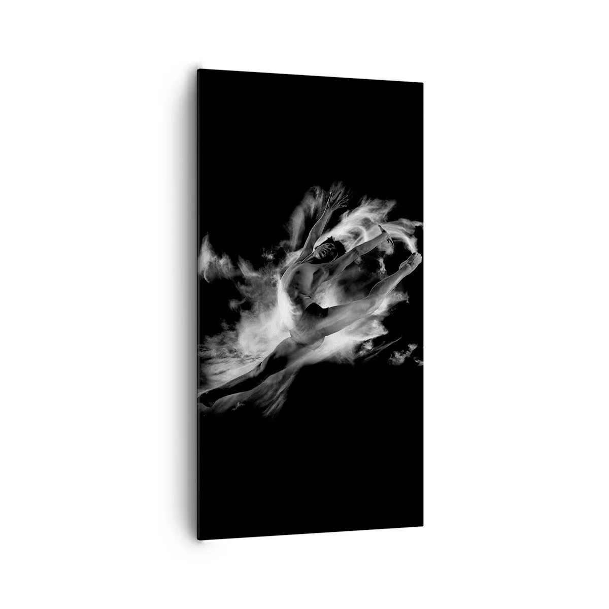 Cuadro sobre lienzo - Impresión de Imagen - El arte del vuelo - 65x120 cm