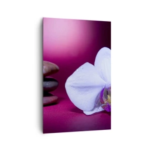 Cuadro sobre lienzo - Impresión de Imagen - Orquídea blanca y piedras sobre fondo rosa. - 80x120cm - Estudio de frescura en violeta - Decoración de pared moderna para salón y dormitorio ARTTOR