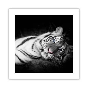 Póster - Salvaje y tranquilo - 40x40 cm