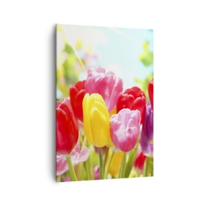 Cuadro sobre lienzo - Impresión de Imagen - Tulipanes coloridos en plena floración sobre un fondo primaveral. - 70x100cm - Somos nosotros, ¡los colores de mayo! - Decoración de pared moderna para salón y dormitorio ARTTOR