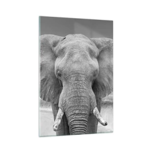 Cuadro sobre vidrio - Impresiones sobre Vidrio - Retrato de un elefante en blanco y negro - 80x120cm - Bienvenido a mi mundo - Decoración de pared moderna para salón y dormitorio ARTTOR