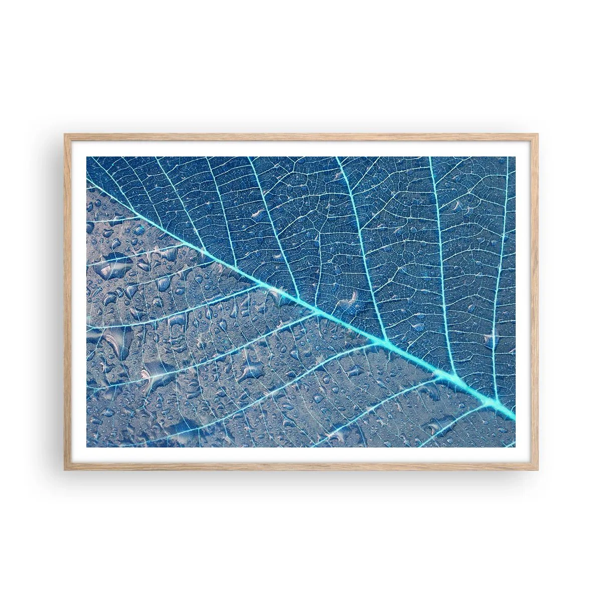 Póster en marco roble claro - Vida en el azul - 100x70 cm