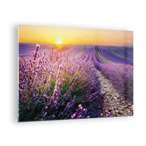 Cuadro sobre vidrio - Impresiones sobre Vidrio - Campo de lavanda al amanecer con un camino rocoso. - 70x50cm - Pradera fragante - Decoración de pared moderna para salón y dormitorio ARTTOR