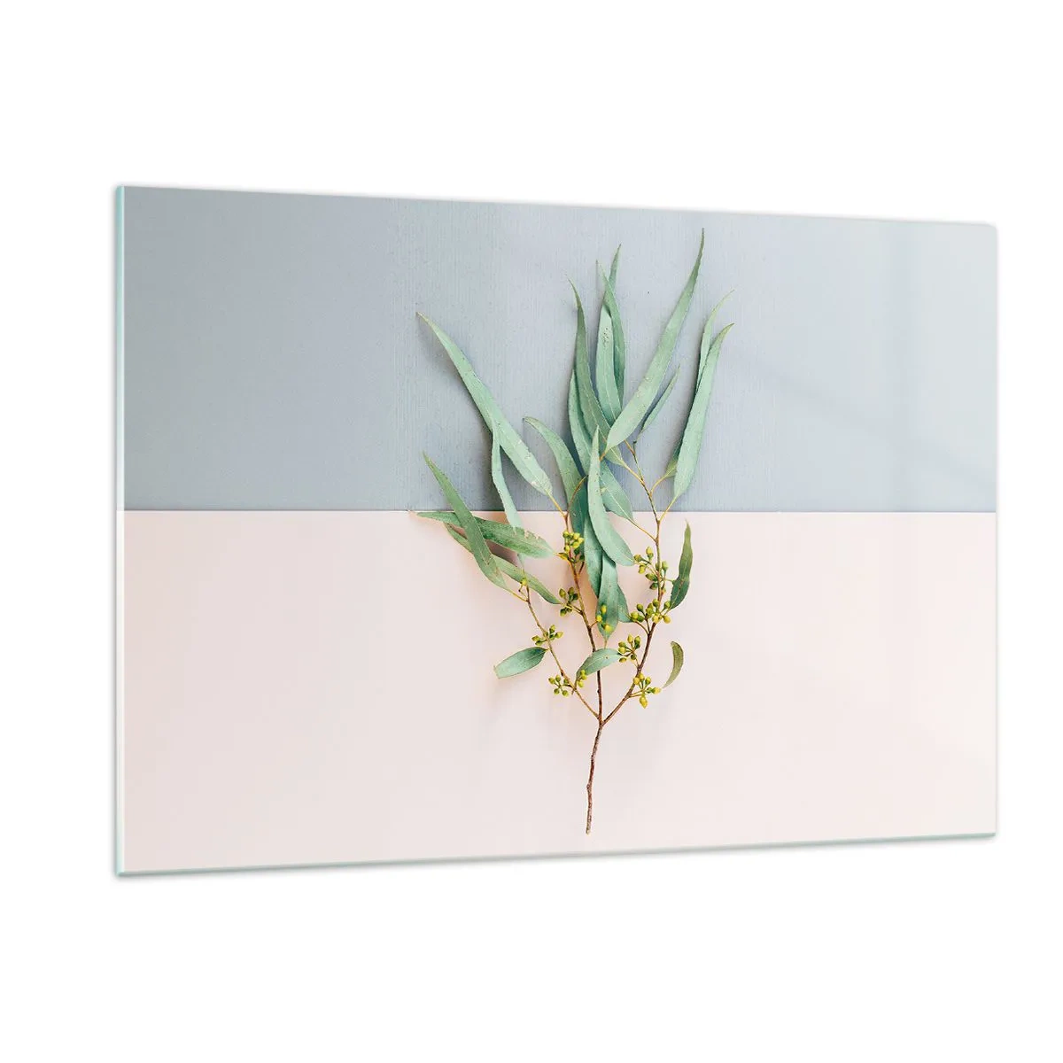 Cuadro sobre vidrio - Impresiones sobre Vidrio - Una ramita de eucalipto sobre un fondo pastel. - 120x80cm - La sutileza del pastel - Decoración de pared moderna para salón y dormitorio ARTTOR