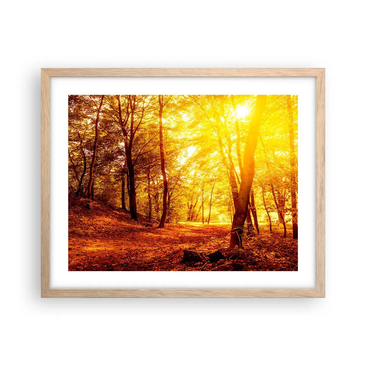 Póster en marco roble claro - Hacia un claro de oro - 50x40 cm