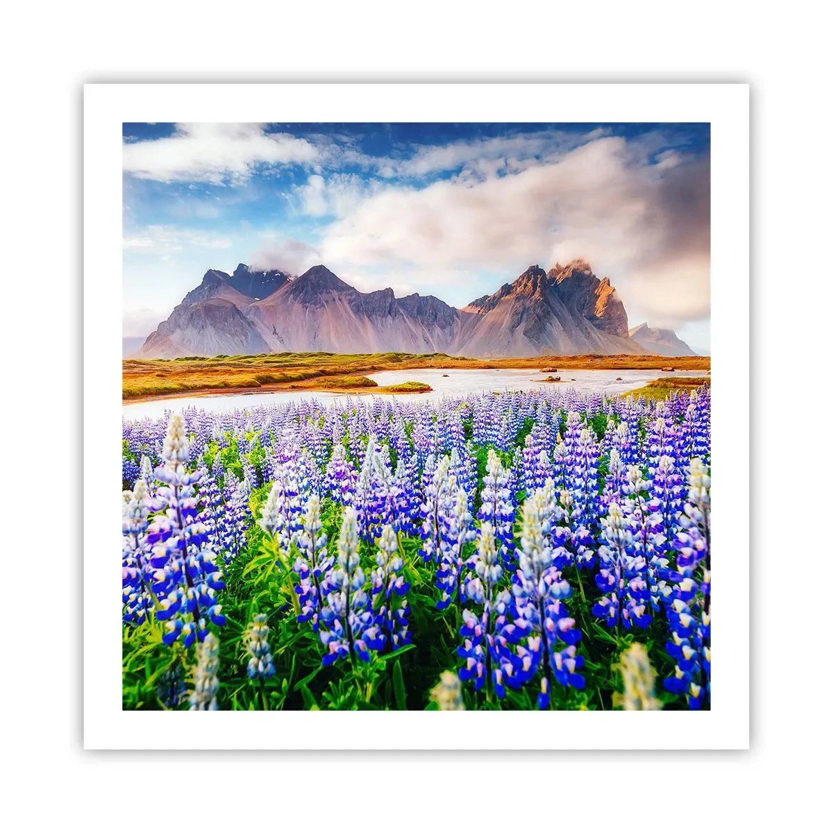 Póster - La fuerza y la severidad junto a la dulzura - 60x60 cm