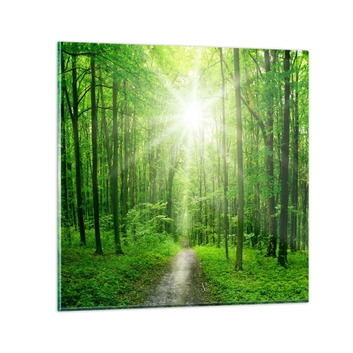 Cuadro sobre vidrio - Impresiones sobre Vidrio - Catedral verde - 30x30 cm