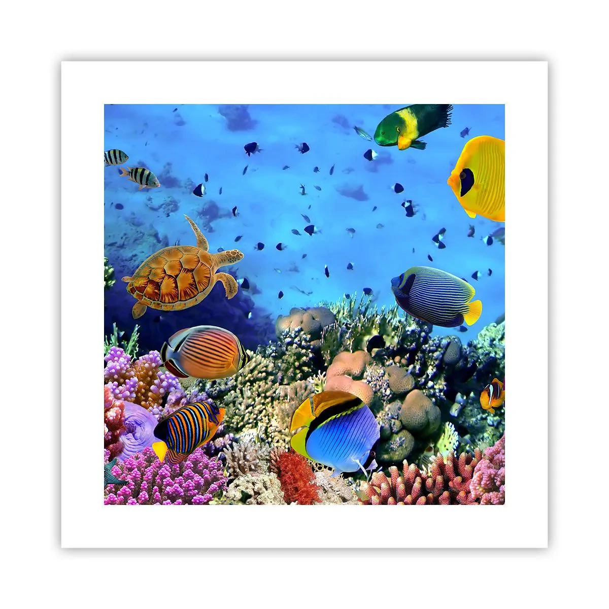 Póster - Y qué sabemos de la vida... - 40x40 cm