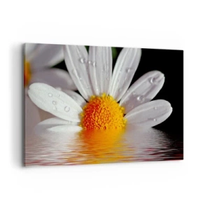 Cuadro sobre lienzo - Impresión de Imagen - Una margarita blanca con gotas de agua inmersas en un reflejo de agua. - 120x80cm - El sol naciente de una margarita - Decoración de pared moderna para salón y dormitorio ARTTOR