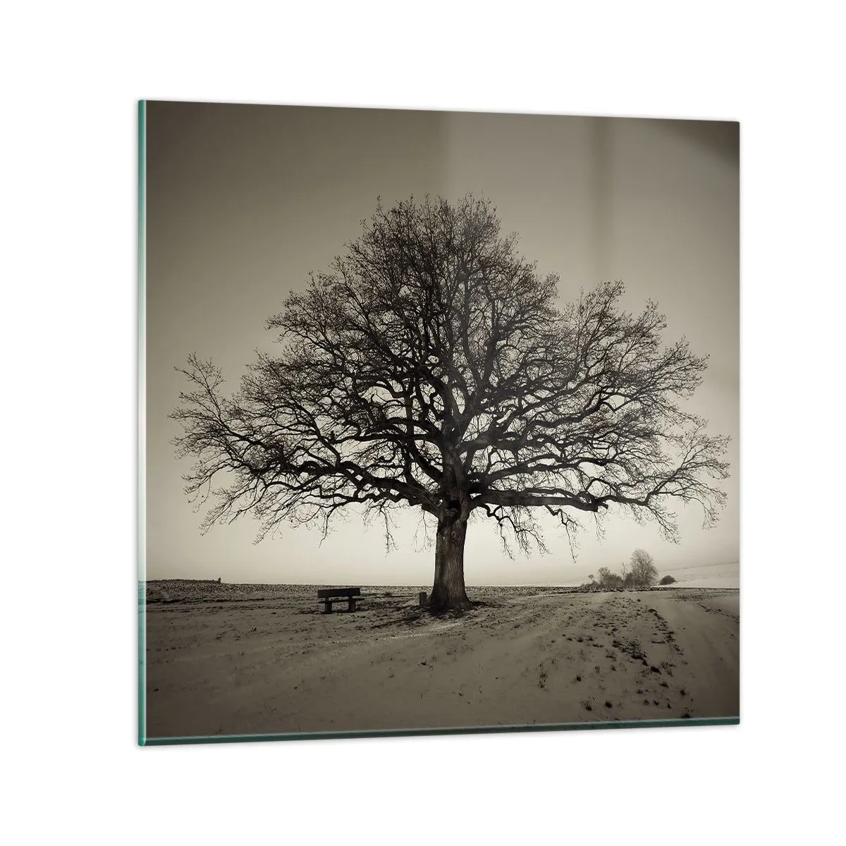 Cuadro sobre vidrio - Impresiones sobre Vidrio - De aquí a la eternidad - 70x70 cm