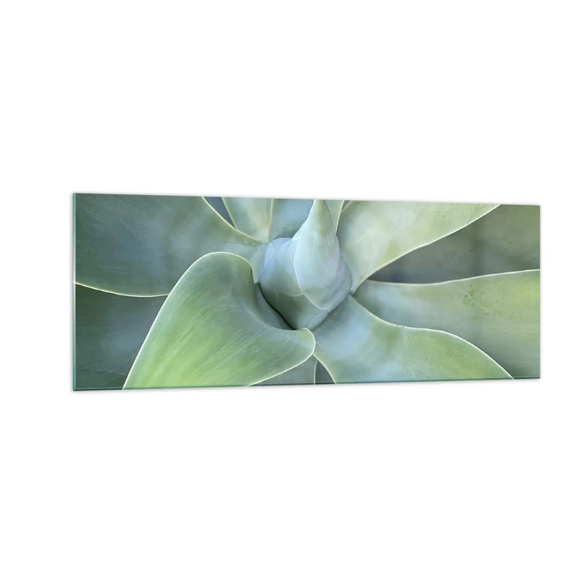 Cuadro sobre vidrio - Impresiones sobre Vidrio - Hojas sutiles de agave en tonos verdes. - 140x50cm - El nacimiento del verde - Decoración de pared moderna para salón y dormitorio ARTTOR