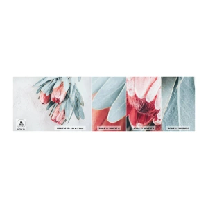 Muestra De Fotomural Standard Eco - Avergonzada de su propia belleza - Flor, protea real, África - 100x30 cm