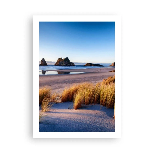 Póster - Una playa pintoresca con pastos y rocas con el océano en calma como telón de fondo. - 50x70cm - Para buscadores de tranquilidad - Decoración de pared moderna para salón y dormitorio ARTTOR