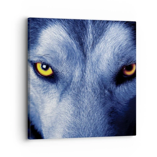 Cuadro sobre lienzo - Impresión de Imagen - La mirada hipnótica - 30x30 cm