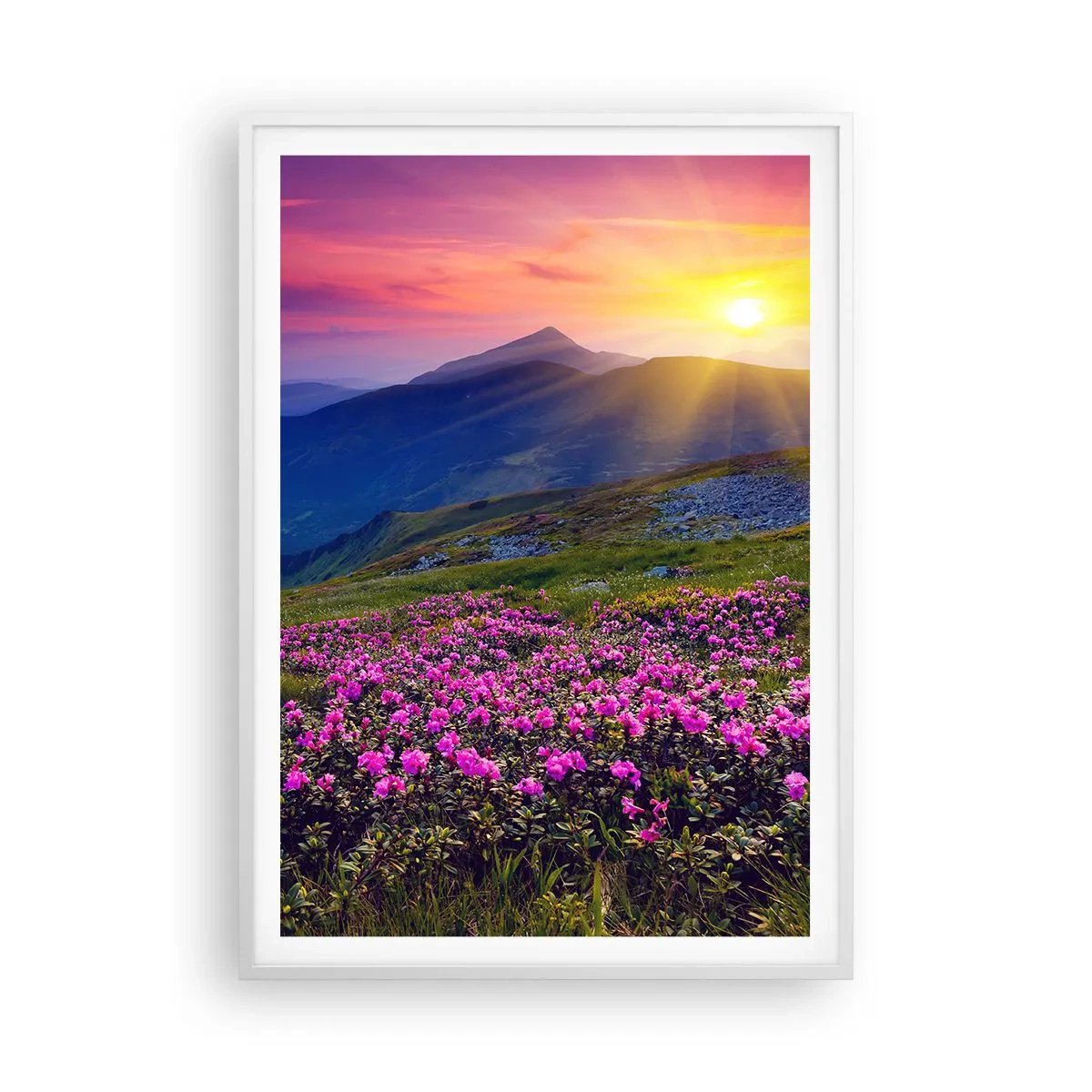 Póster en marco blanco - ... Y el aroma a hierbas está por todas partes - 70x100 cm