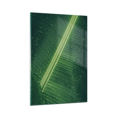 Cuadro sobre vidrio - Impresiones sobre Vidrio - Una hoja verde con gotas de agua en su superficie. - 80x120cm - Estructura del verde - Decoración de pared moderna para salón y dormitorio ARTTOR