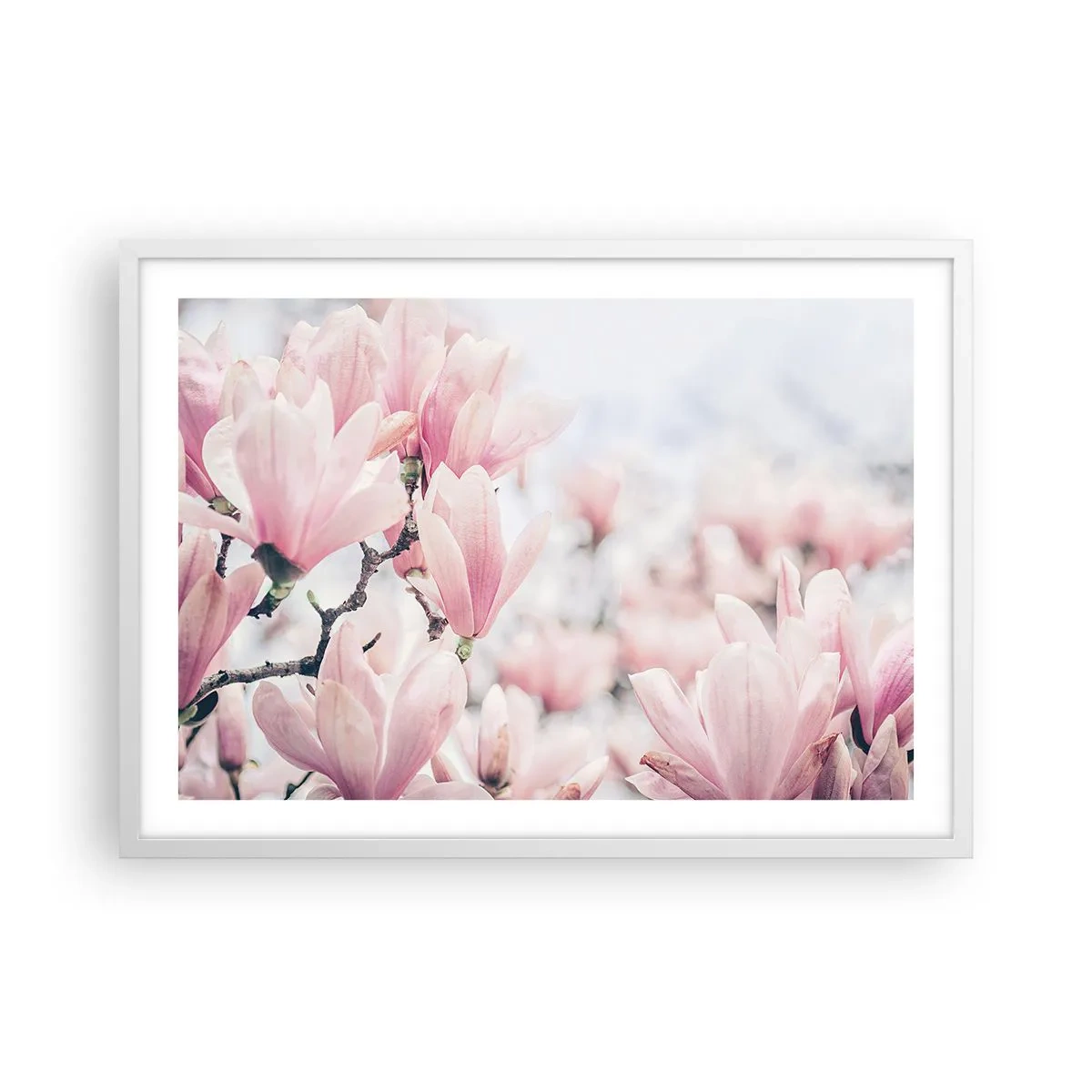 Póster en marco blanco - La perfección de la sutileza - 70x50 cm