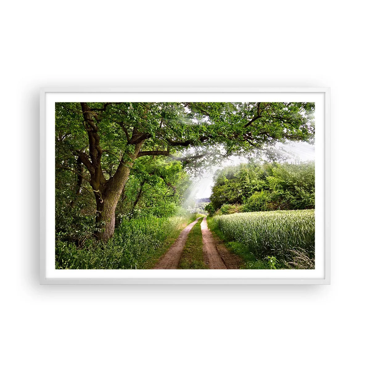 Póster en marco blanco - Ensueño - 91x61 cm