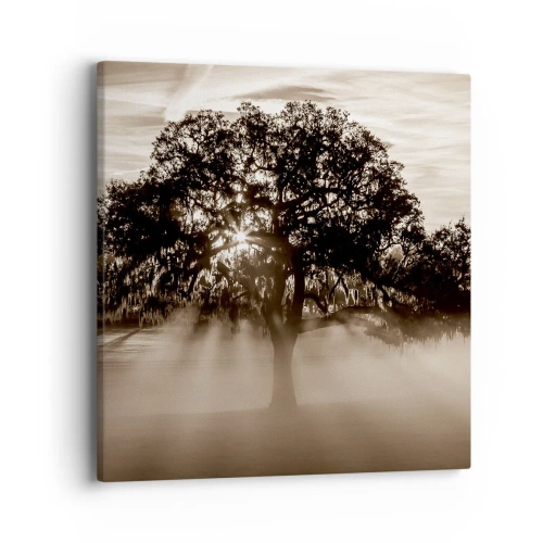 Cuadro sobre lienzo - Impresión de Imagen - Un árbol de buenas noticias  - 40x40 cm