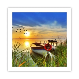 Póster - Los cormoranes están volando - 50x50 cm