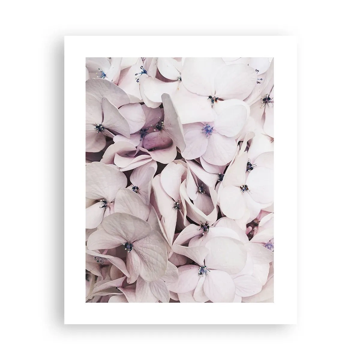 Póster - En un torrente de flores - 40x50 cm