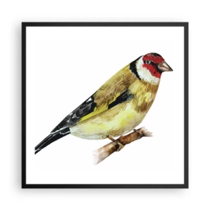 Póster en marco negro - Retrato de pájaro - 60x60 cm