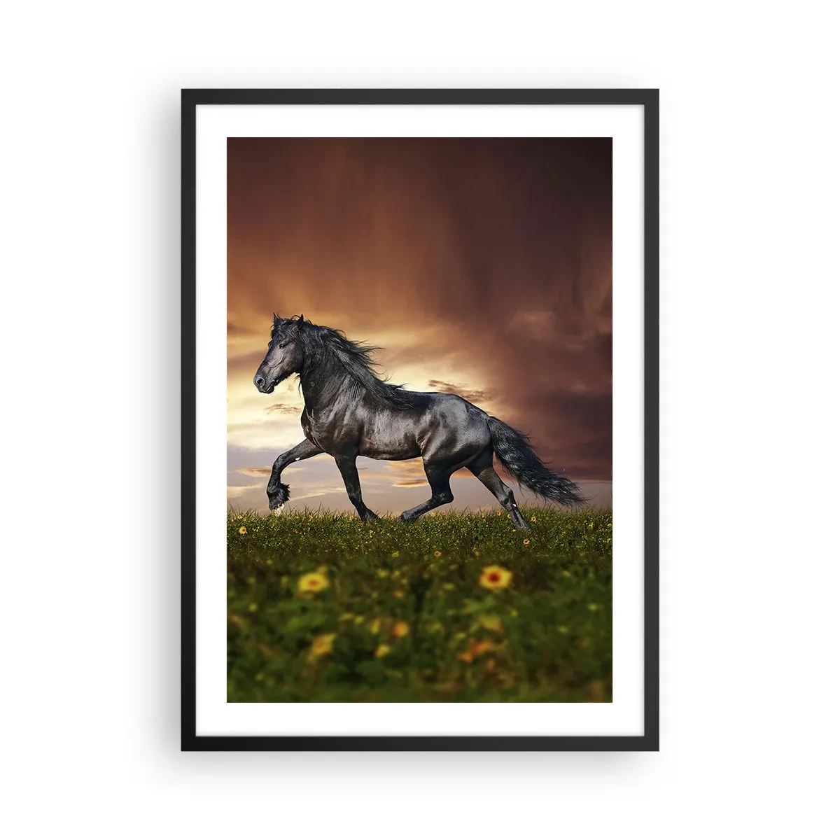 Póster en marco negro - Un caballo negro galopa a través de un prado a la luz del sol poniente. - 50x70cm - Príncipe negro - Decoración de pared moderna para salón y dormitorio ARTTOR