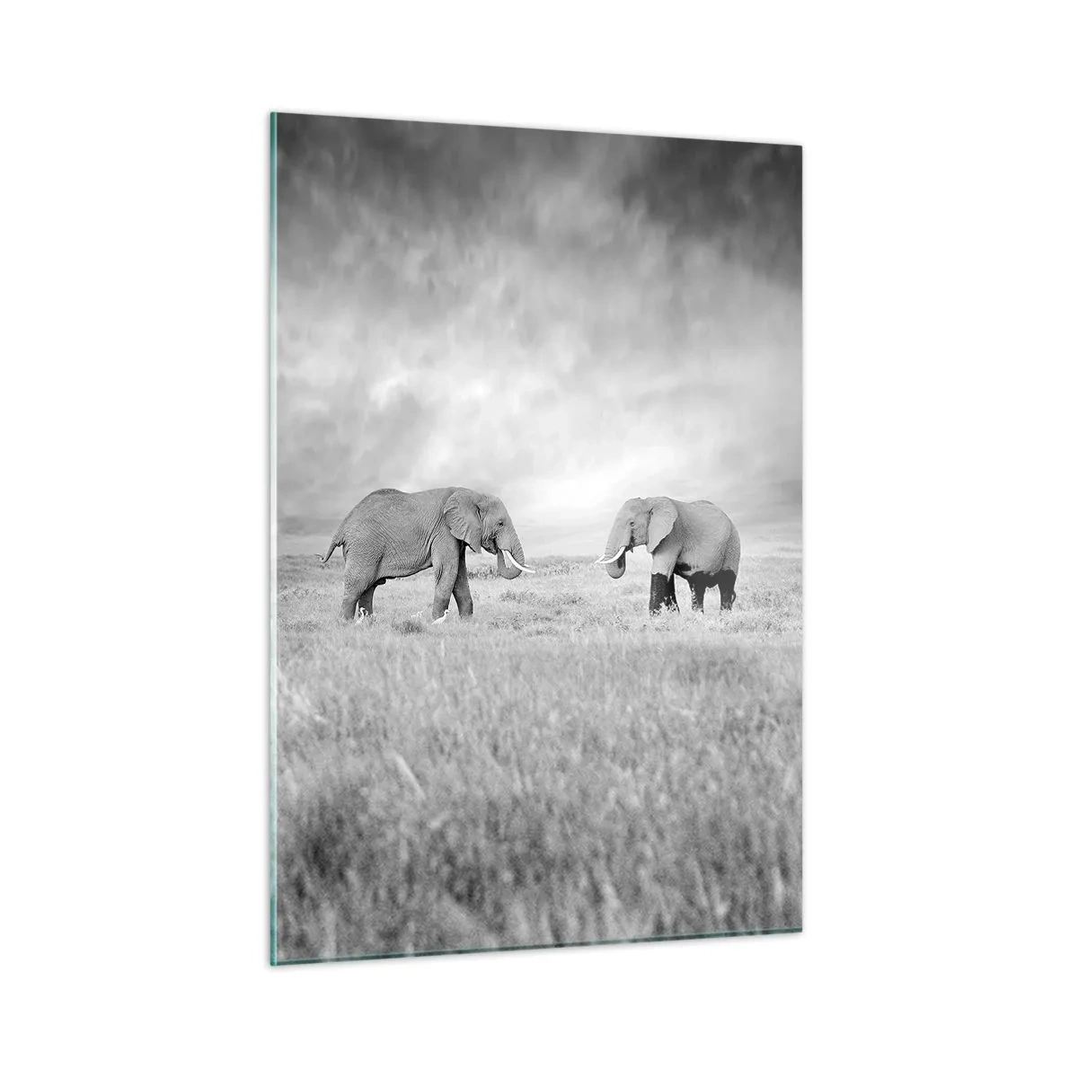 Cuadro sobre vidrio - Impresiones sobre Vidrio - Dos elefantes en la sabana en tonos blanco y negro. - 50x70cm - El gris es hermoso - Decoración de pared moderna para salón y dormitorio ARTTOR