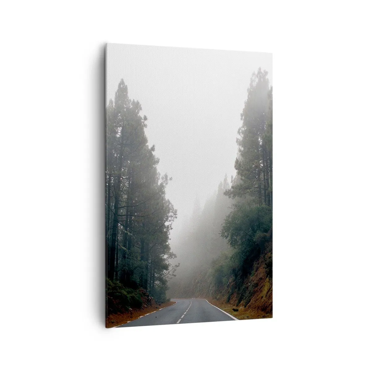 Cuadro sobre lienzo - Impresión de Imagen - La historia de un bosque mágico - 80x120 cm