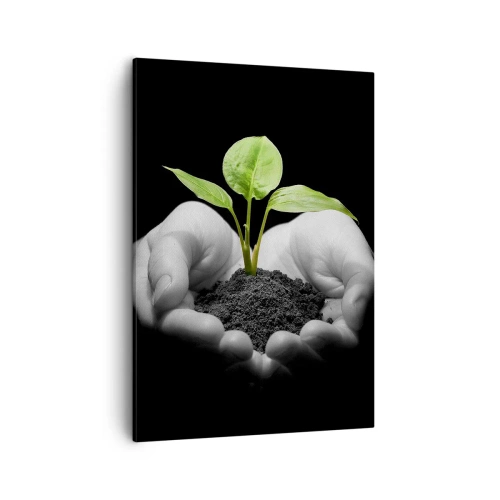 Cuadro sobre lienzo - Impresión de Imagen - Manos sosteniendo una planta verde sobre un fondo negro - 50x70cm - Amo la naturaleza, la protejo - Decoración de pared moderna para salón y dormitorio ARTTOR