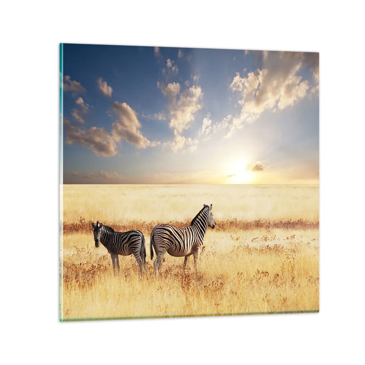 Cuadro sobre vidrio - Impresiones sobre Vidrio - Vete, no perturbes la paz - 60x60 cm