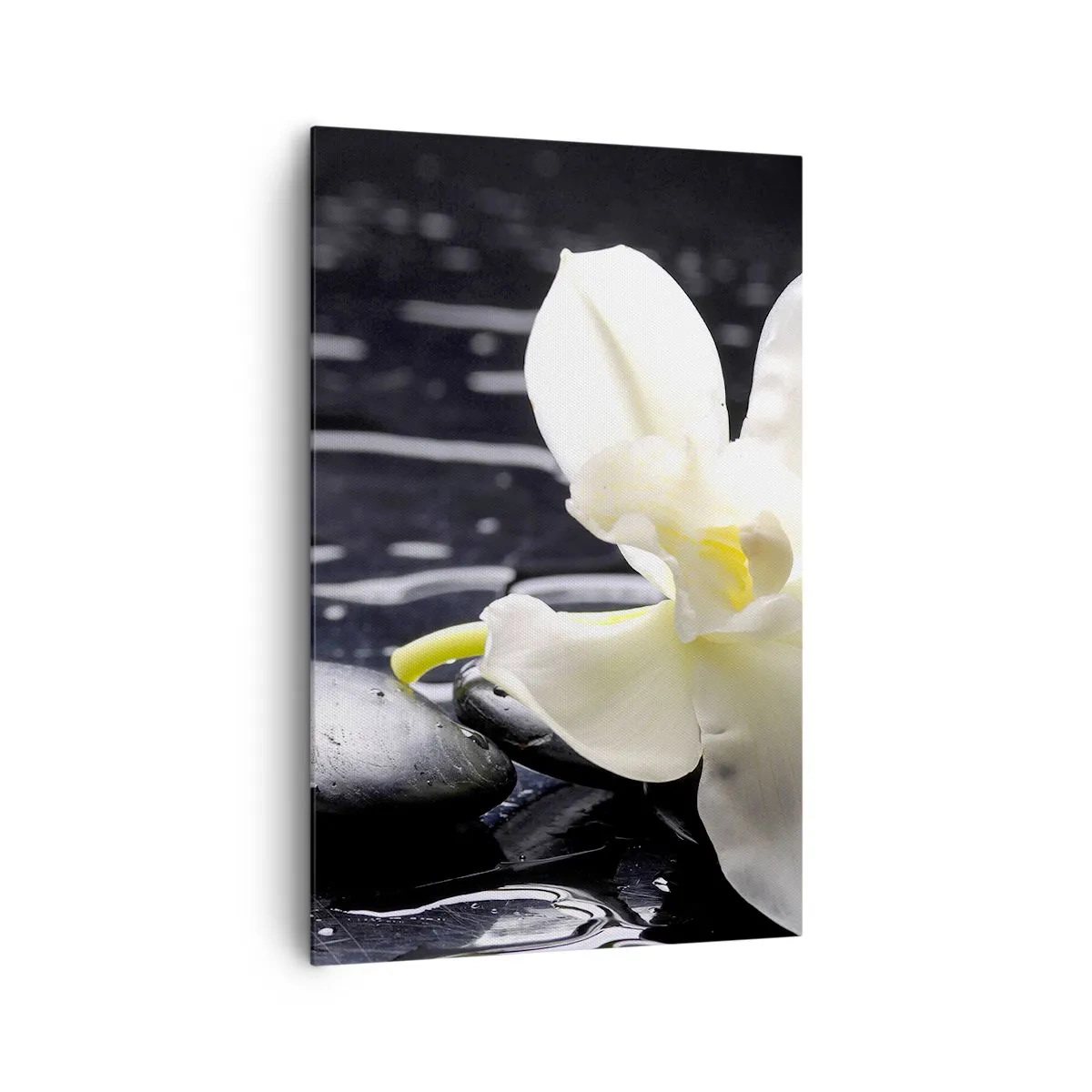 Cuadro sobre lienzo - Impresión de Imagen - Una orquídea blanca sobre un fondo de piedras negras y agua. - 80x120cm - Un estudio en blanco y negro - Decoración de pared moderna para salón y dormitorio ARTTOR