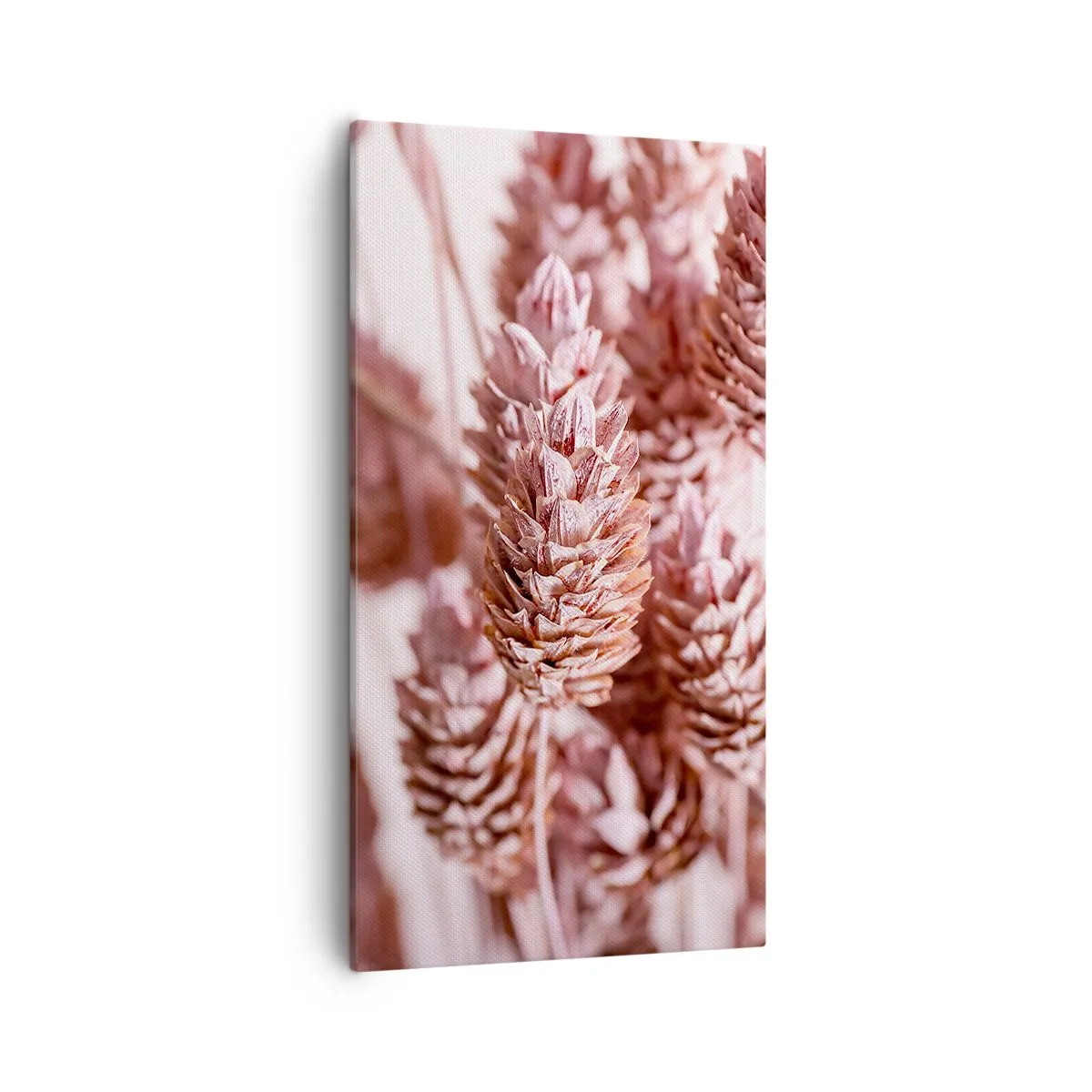 Cuadro sobre lienzo - Impresión de Imagen - Aparentemente discreto - 55x100 cm