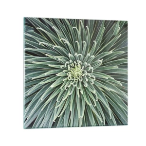 Cuadro sobre vidrio - Impresiones sobre Vidrio - El nacimiento de una estrella - 50x50 cm