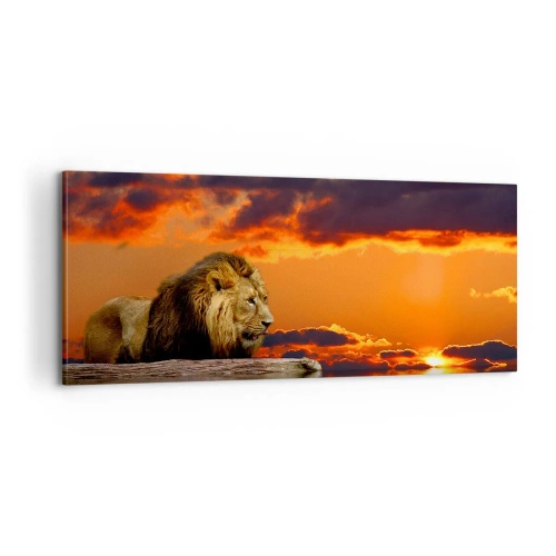 Cuadro sobre lienzo - Impresión de Imagen - Rey de la naturaleza - 100x40 cm