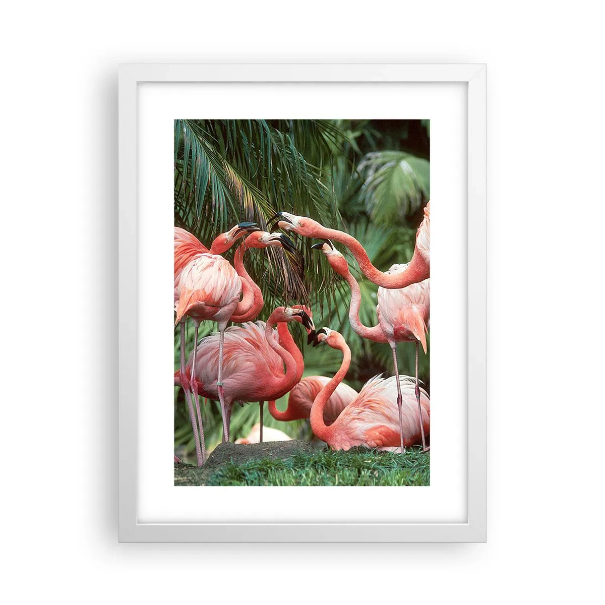 Póster en marco blanco - Cotilleos de la tarde - 30x40 cm