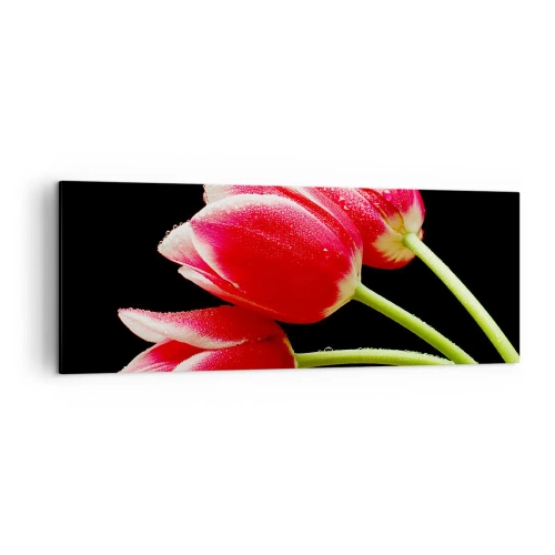 Cuadro sobre lienzo - Impresión de Imagen - Tulipanes rojos con gotas de rocío sobre un fondo negro - 140x50cm - Promesa de amor puro - Decoración de pared moderna para salón y dormitorio ARTTOR