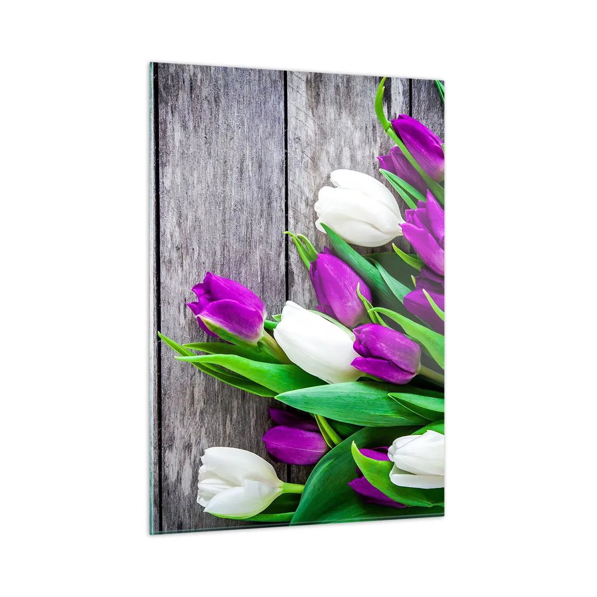 Cuadro sobre vidrio - Impresiones sobre Vidrio - Un ramo de tulipanes morados y blancos sobre un fondo de madera. - 50x70cm - El día de la fiesta de la primavera - Decoración de pared moderna para salón y dormitorio ARTTOR