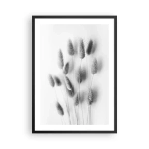 Póster en marco negro - Espigas de hierba esponjosas de color blanco y negro - 50x70cm - Esponjas naturales - Decoración de pared moderna para salón y dormitorio ARTTOR