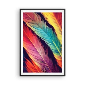 Póster en marco negro - Arco iris plumoso - 61x91 cm