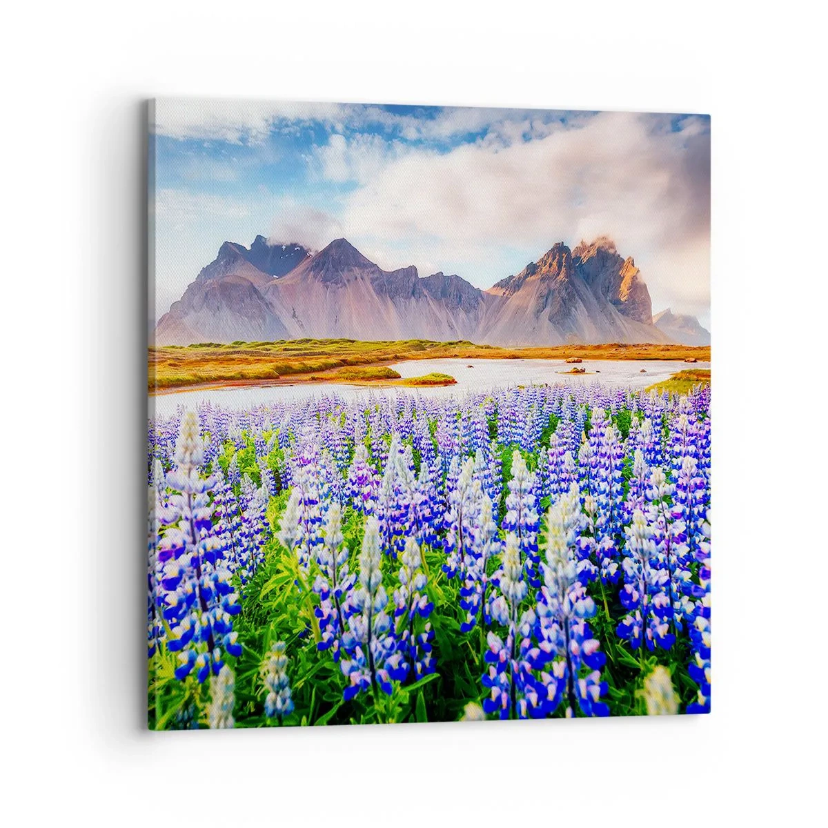 Cuadro sobre lienzo - Impresión de Imagen - La fuerza y la severidad junto a la dulzura - 70x70 cm