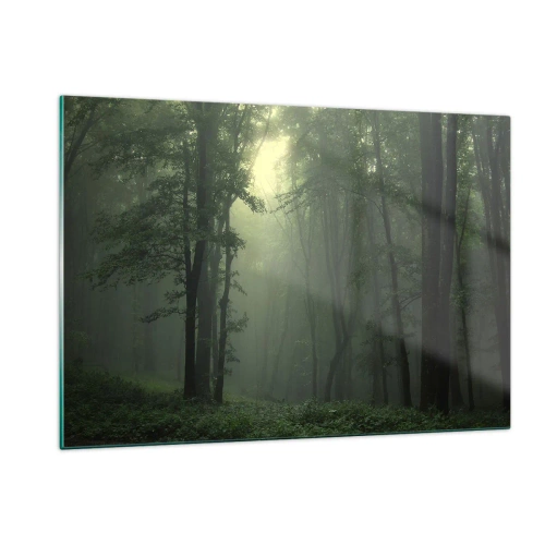 Cuadro sobre vidrio - Impresiones sobre Vidrio - Un bosque oscuro envuelto en niebla con rayos de luz. - 120x80cm - Antes de que se despierte el bosque - Decoración de pared moderna para salón y dormitorio ARTTOR