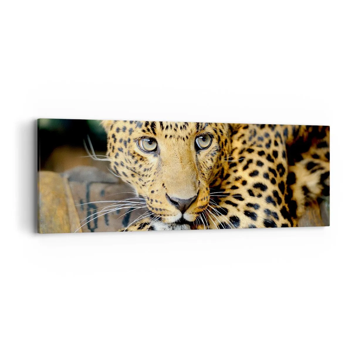 Cuadro sobre lienzo - Impresión de Imagen - No tengas miedo, vamos - 90x30 cm