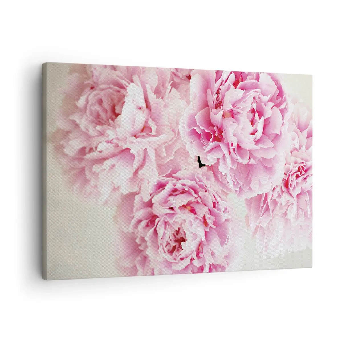 Cuadro sobre lienzo - Impresión de Imagen - Un ramo de peonías rosas sobre un fondo claro. - 70x50cm - En el esplendor del rosa - Decoración de pared moderna para salón y dormitorio ARTTOR