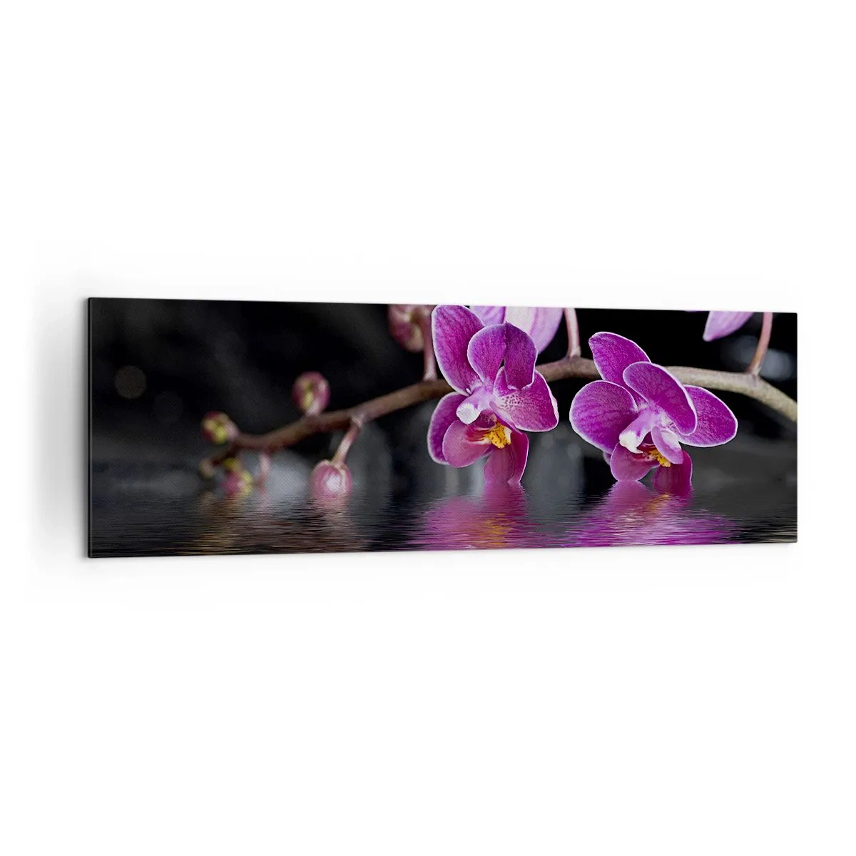 Cuadro sobre lienzo - Impresión de Imagen - Orquídeas moradas sobre aguas tranquilas contra un fondo negro. - 160x50cm - Un reflejo lila de la belleza - Decoración de pared moderna para salón y dormitorio ARTTOR