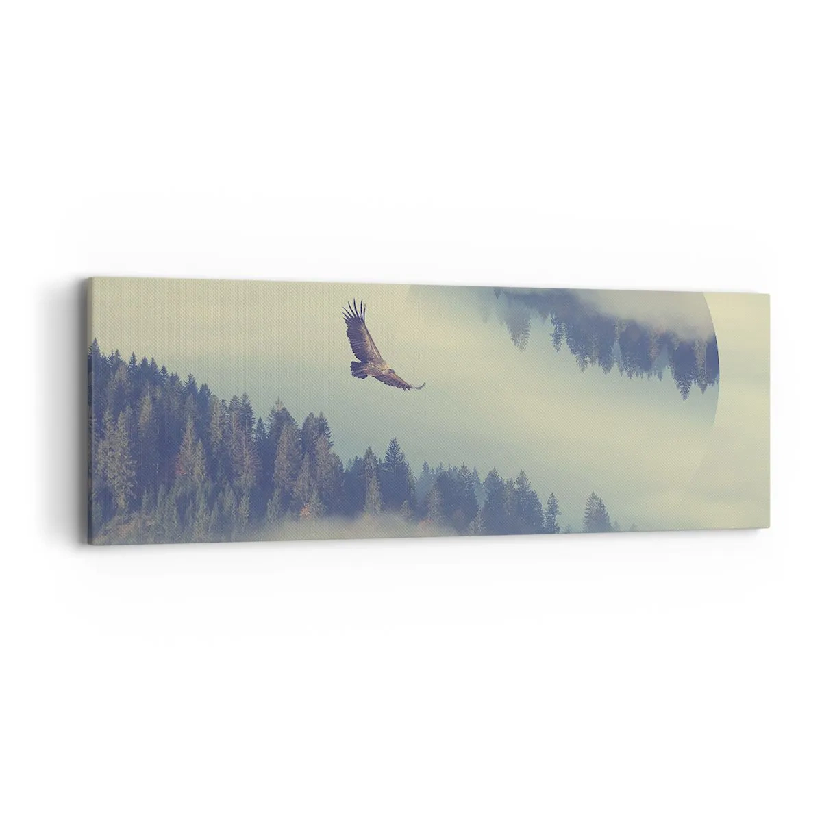 Cuadro sobre lienzo - Impresión de Imagen - Vi la sombra de un águila - 90x30 cm