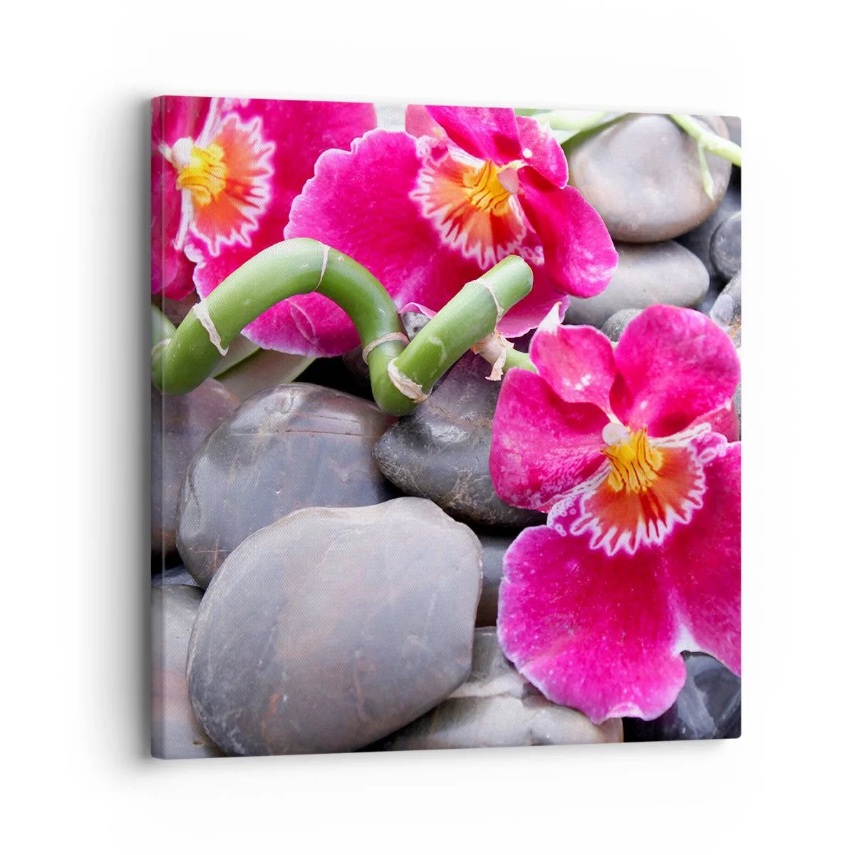 Cuadro sobre lienzo - Impresión de Imagen - Frío y calor - 30x30 cm