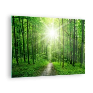 Cuadro sobre vidrio - Impresiones sobre Vidrio - Un camino en el bosque iluminado por los rayos del sol. - 70x50cm - Catedral verde - Decoración de pared moderna para salón y dormitorio ARTTOR