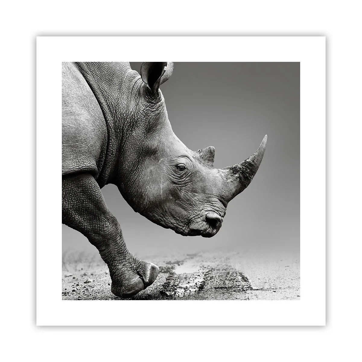 Póster - Fuerza imparable - 40x40 cm