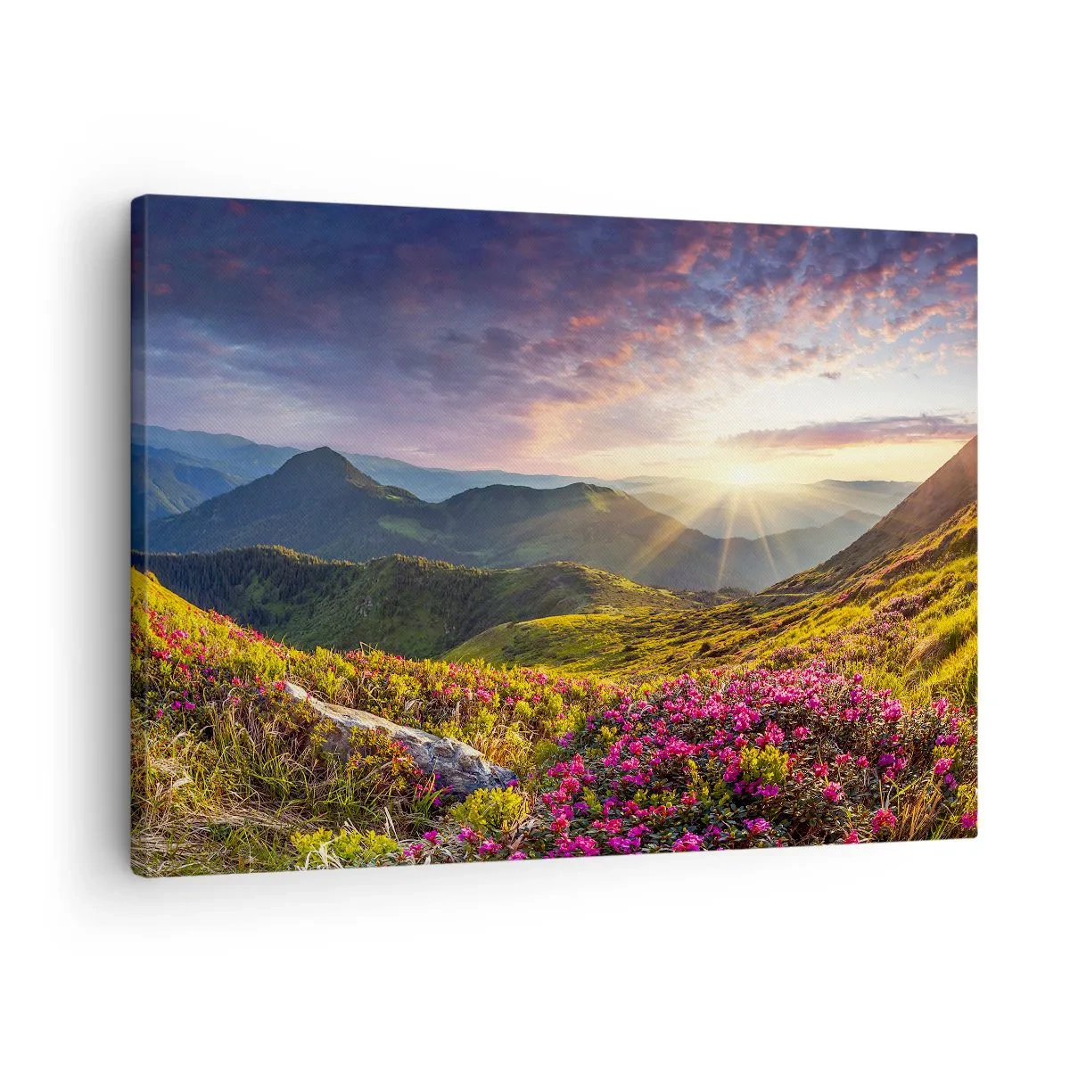 Cuadro sobre lienzo - Impresión de Imagen - Paisaje de montaña con rododendros en flor - 70x50cm - La frescura de una mañana de montaña - Decoración de pared moderna para salón y dormitorio ARTTOR